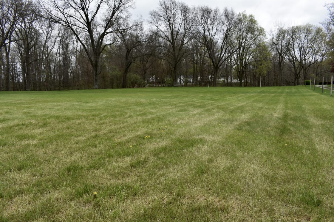Wide open field for dry Rv camping as well as tent camping and activities! No electric or water, generators are okay. The creek runs between this field and the main house right behind the tree line and creek. 