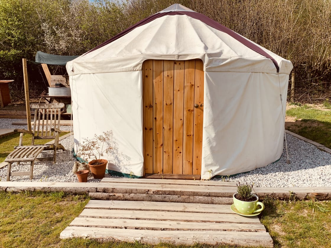 Yurt in the Orchard