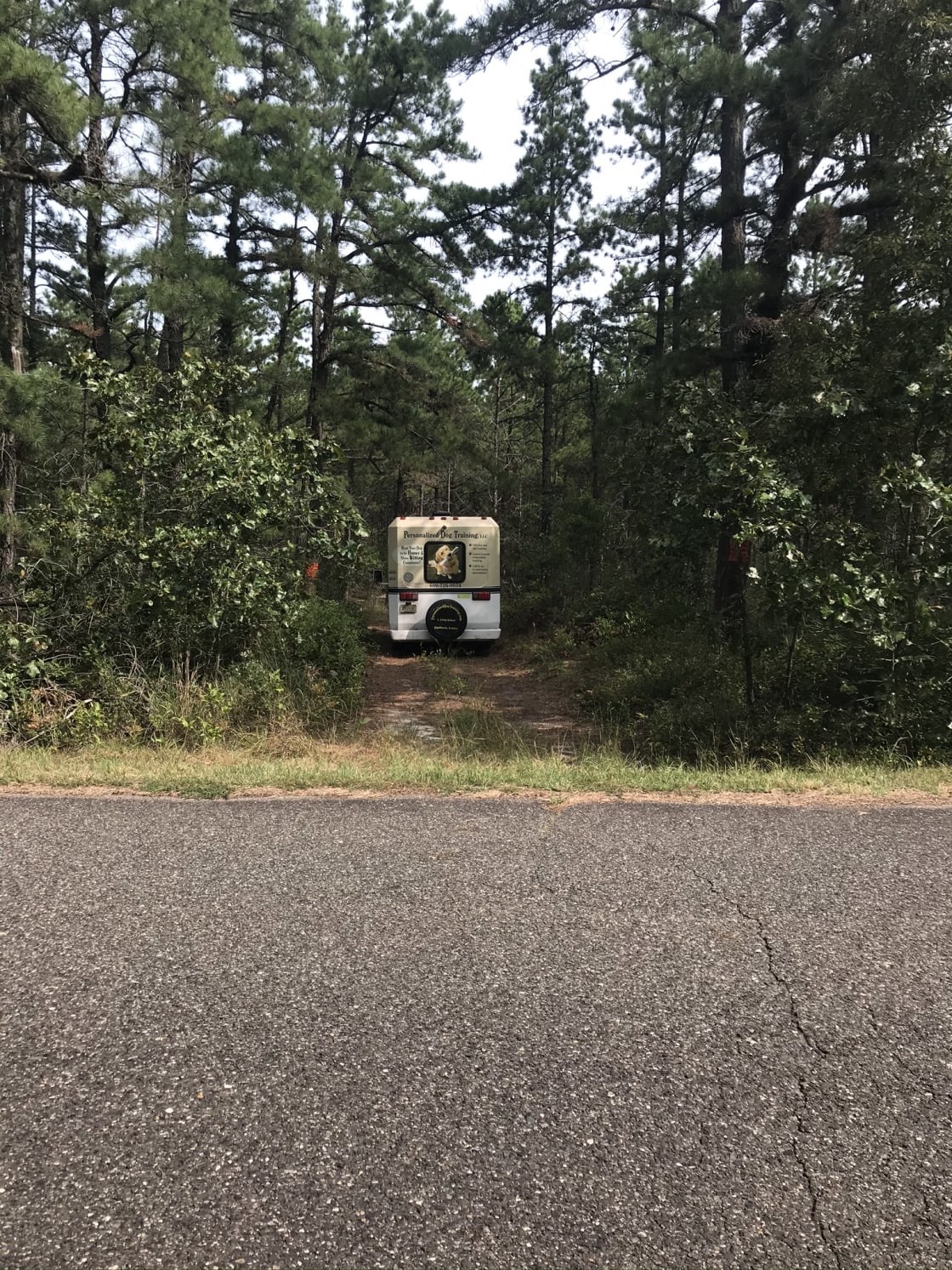 Campsite as seen from the road