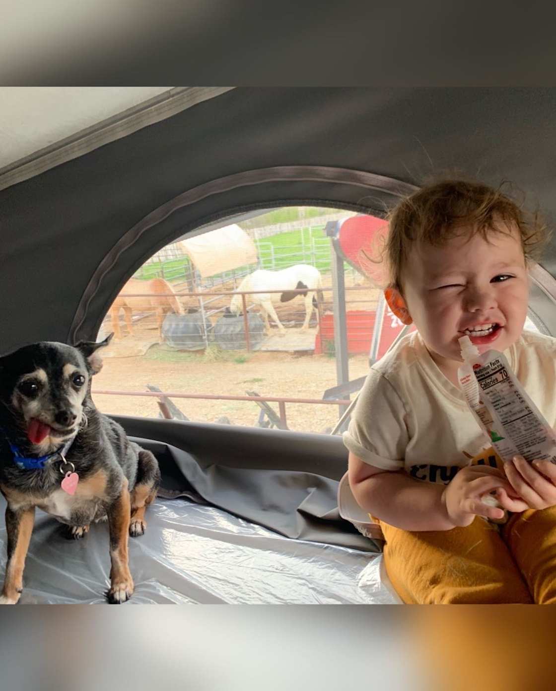 Laughing Horse Ranch - NO TENTS
