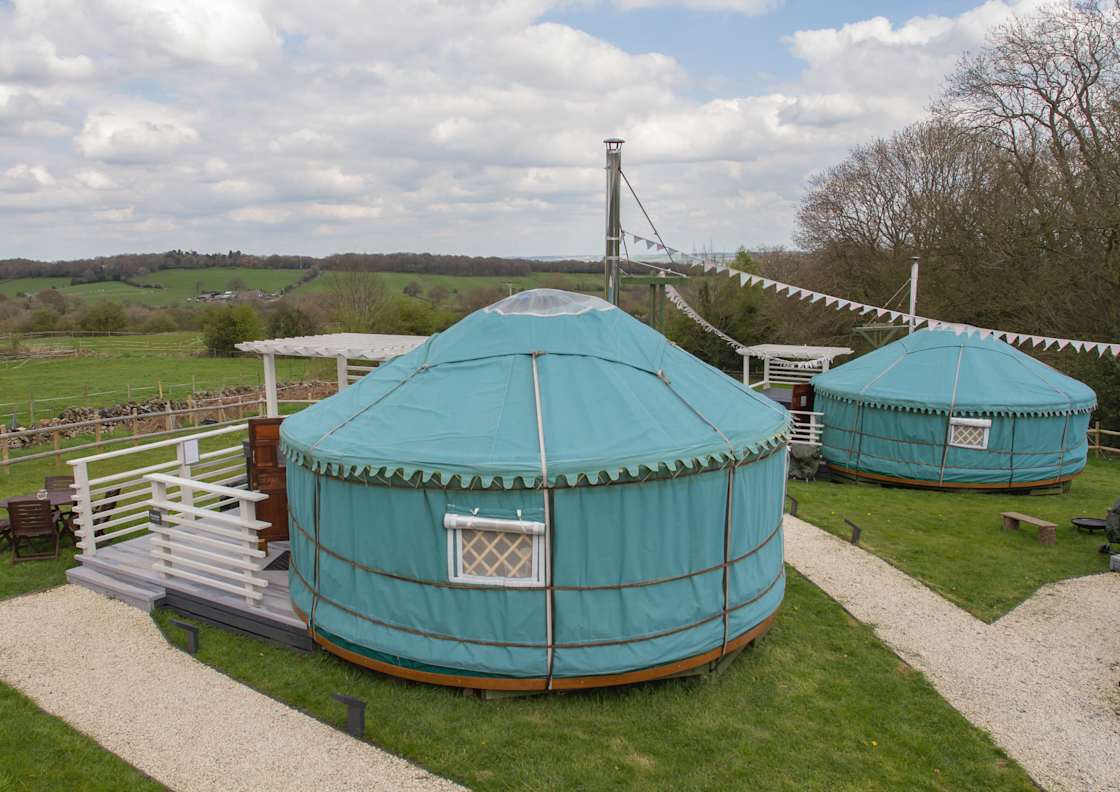 The site 