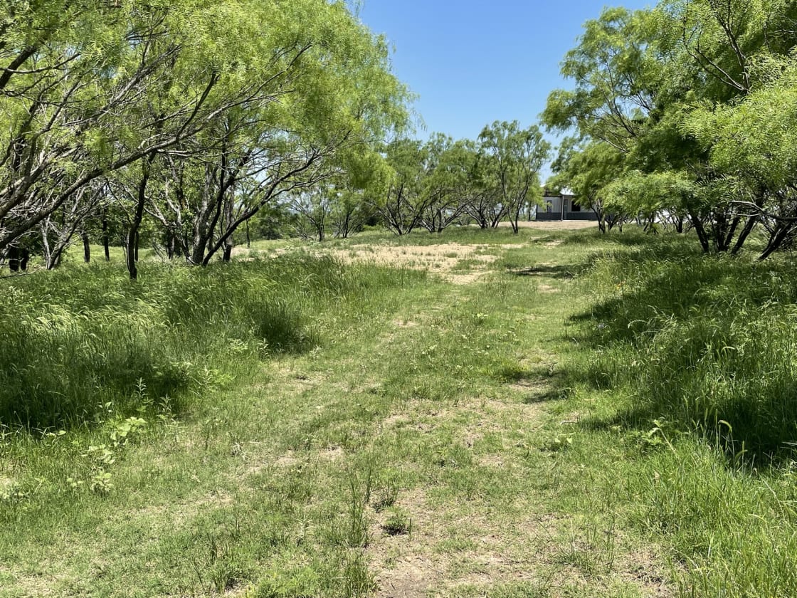 Grassy pathway to RV pad