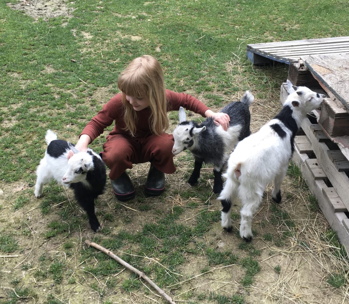Goat Farm Hide-Away CVNP