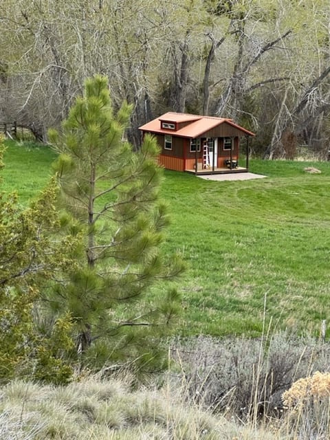 Cabin with 4 acres of meadow to explore.