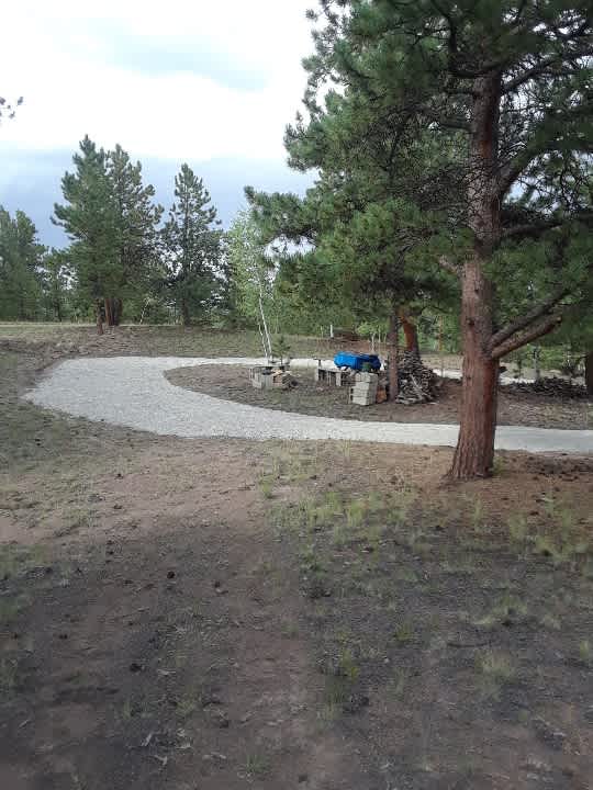 Bear Country