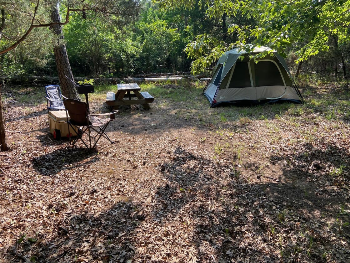 Trail Blazer Survival Camp