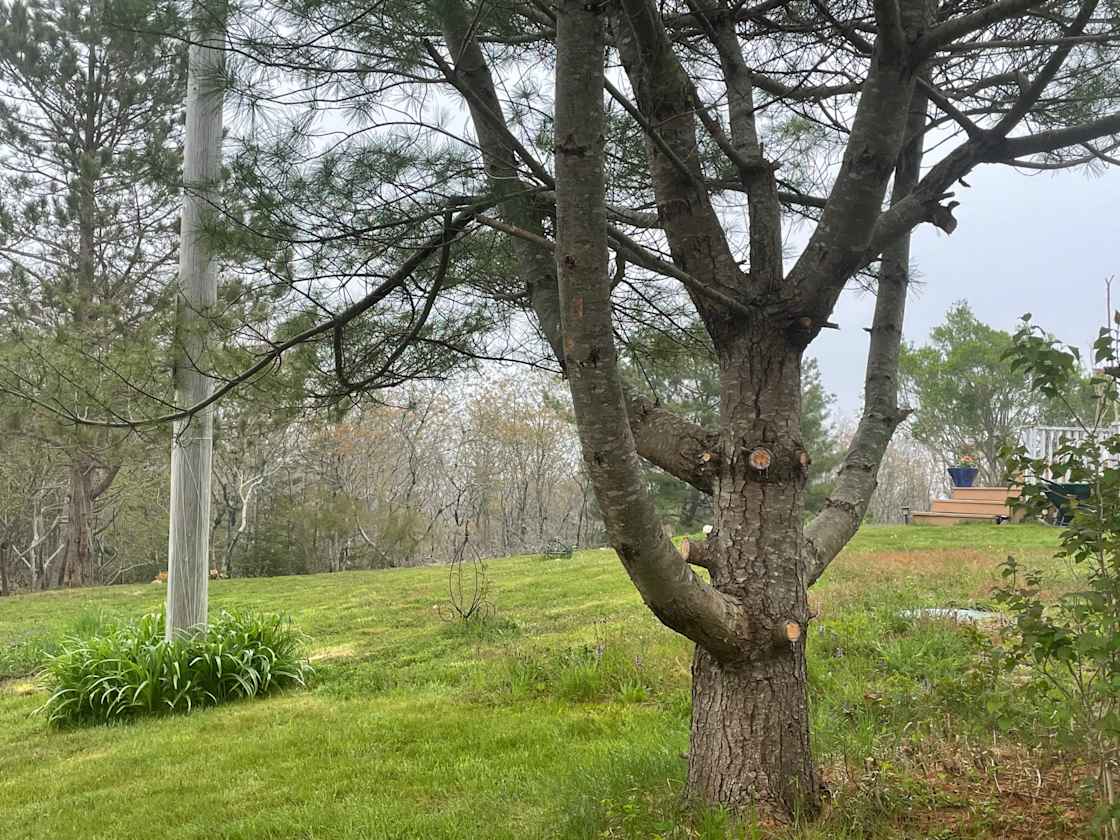 Mount Pisgah House