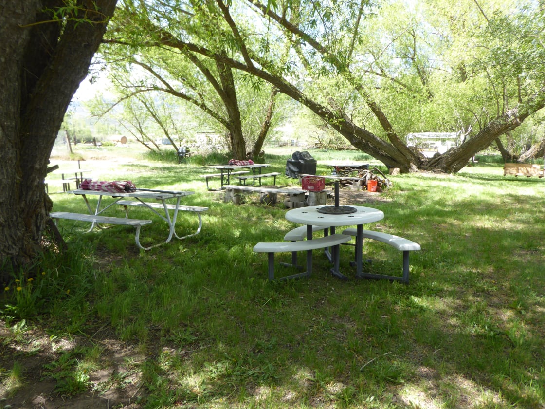 Main campground and firepit