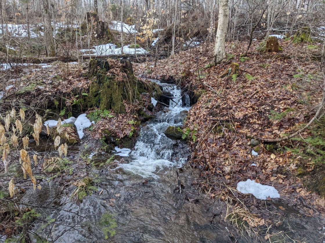Several streams run year round throughout the property