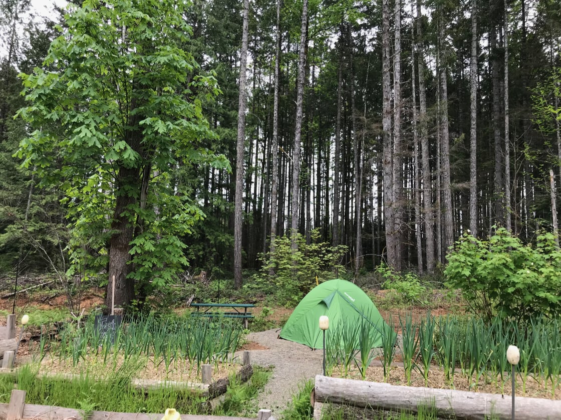 Imagine it's your tent nestled into the permaculture garden.