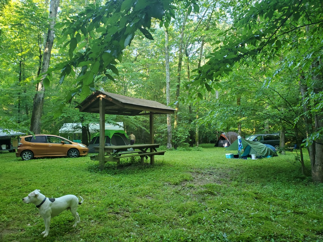 Rock Creek Wooded Campground