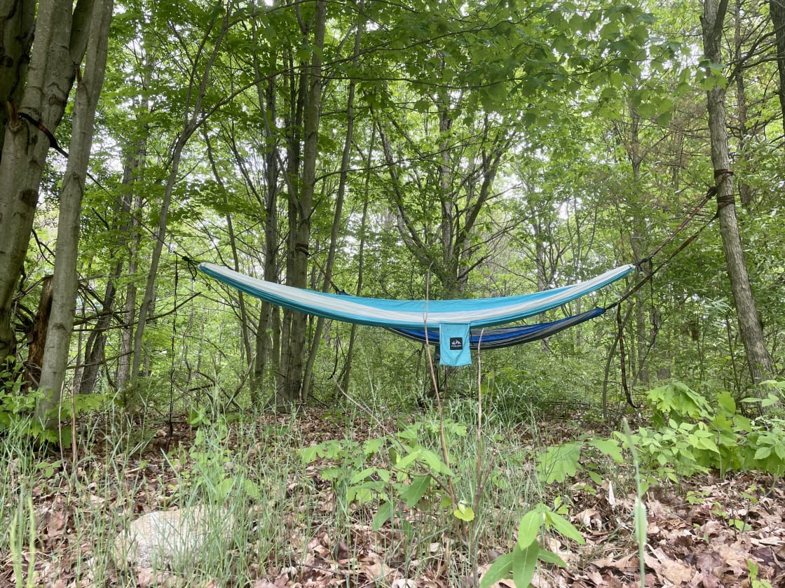 We hung up 2 hammocks between a couple trees to read and get some great naps