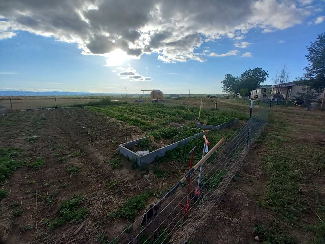 Hidden Blessings Ranch