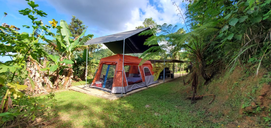 Rainforest Campground & Glamping