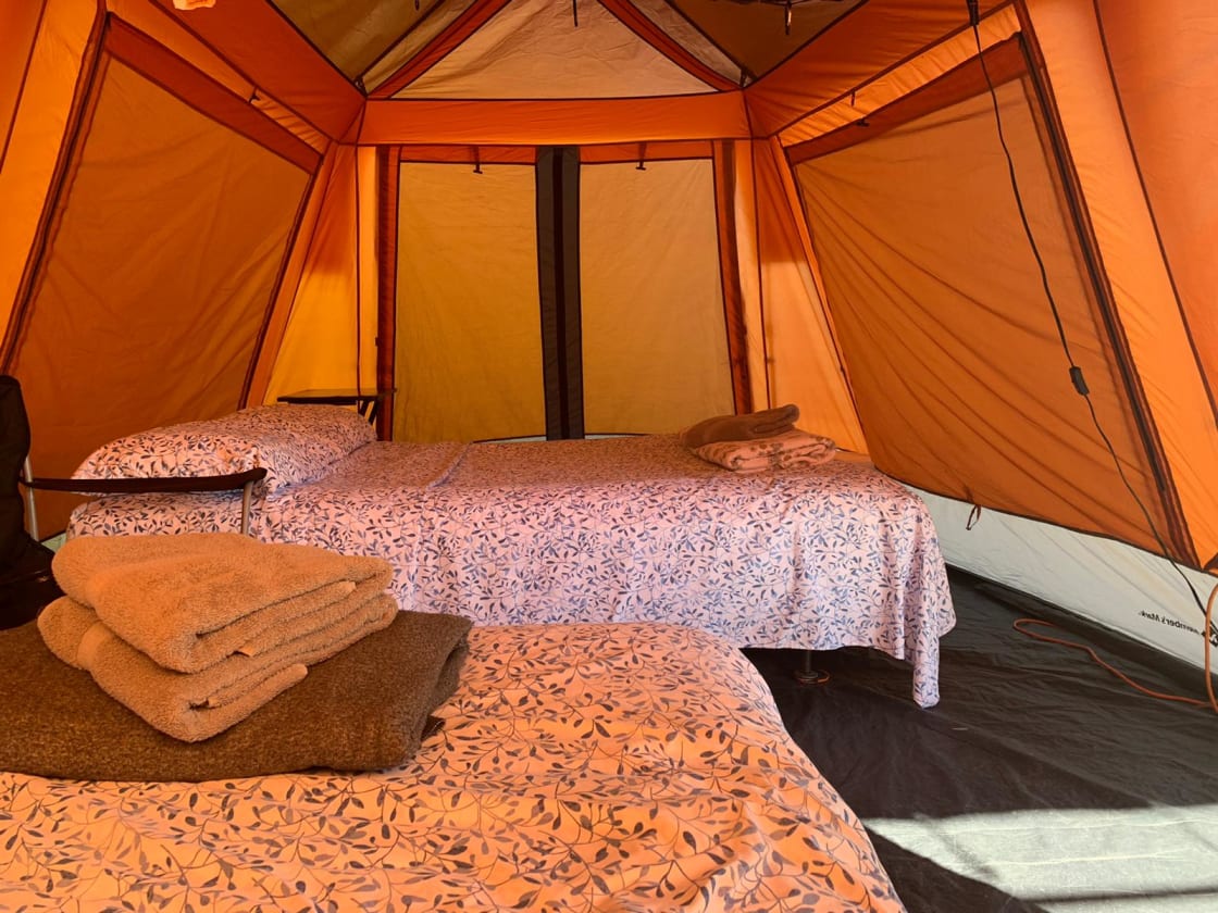 Rainforest Campground & Glamping