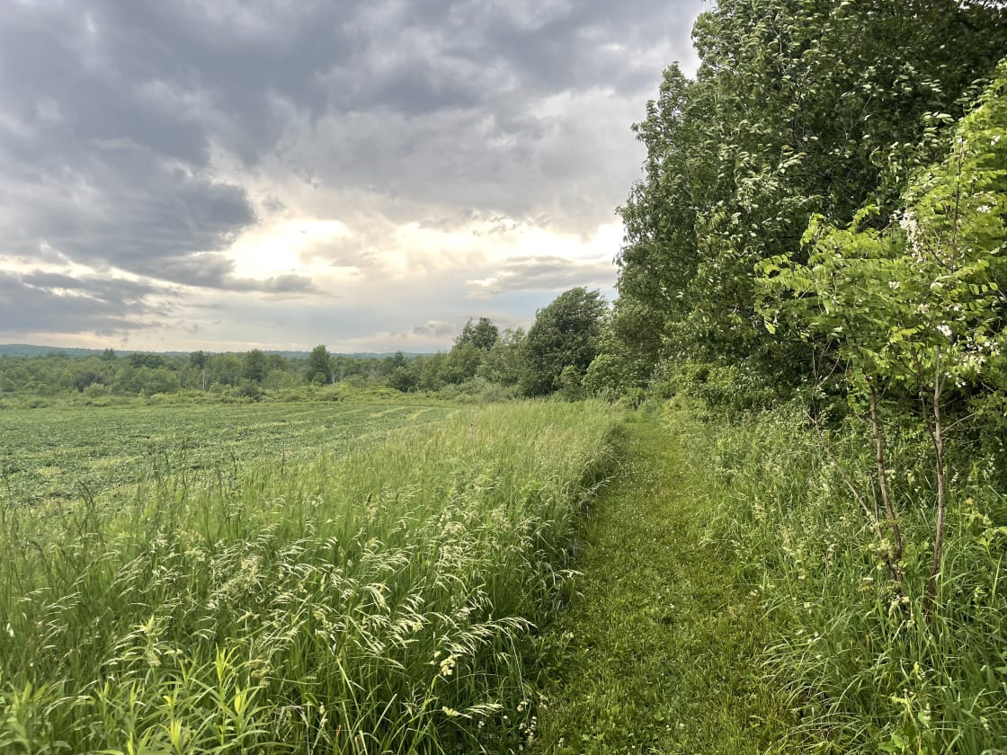 Mown walking trails can be found throughout the property. Freshly mown cover crop on the organic grain fields are seen on the left side of this photo
