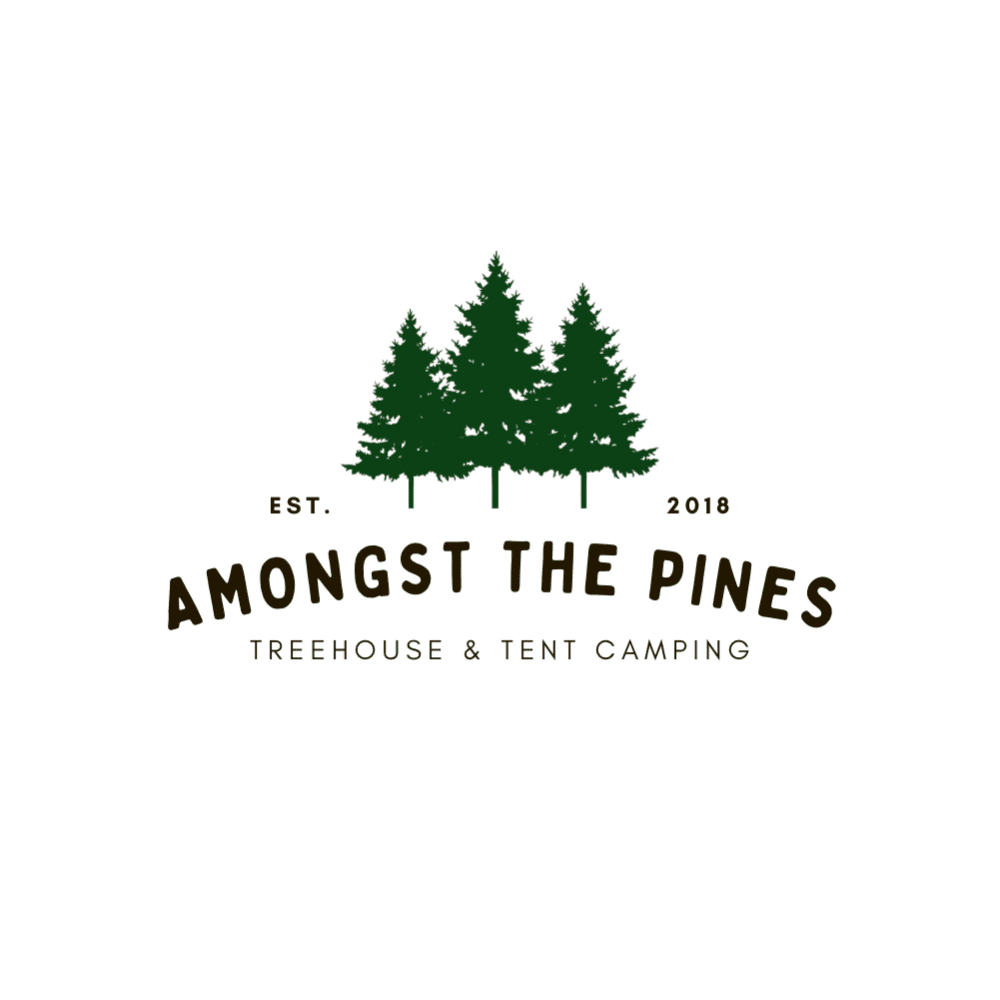 Amongst The Pines