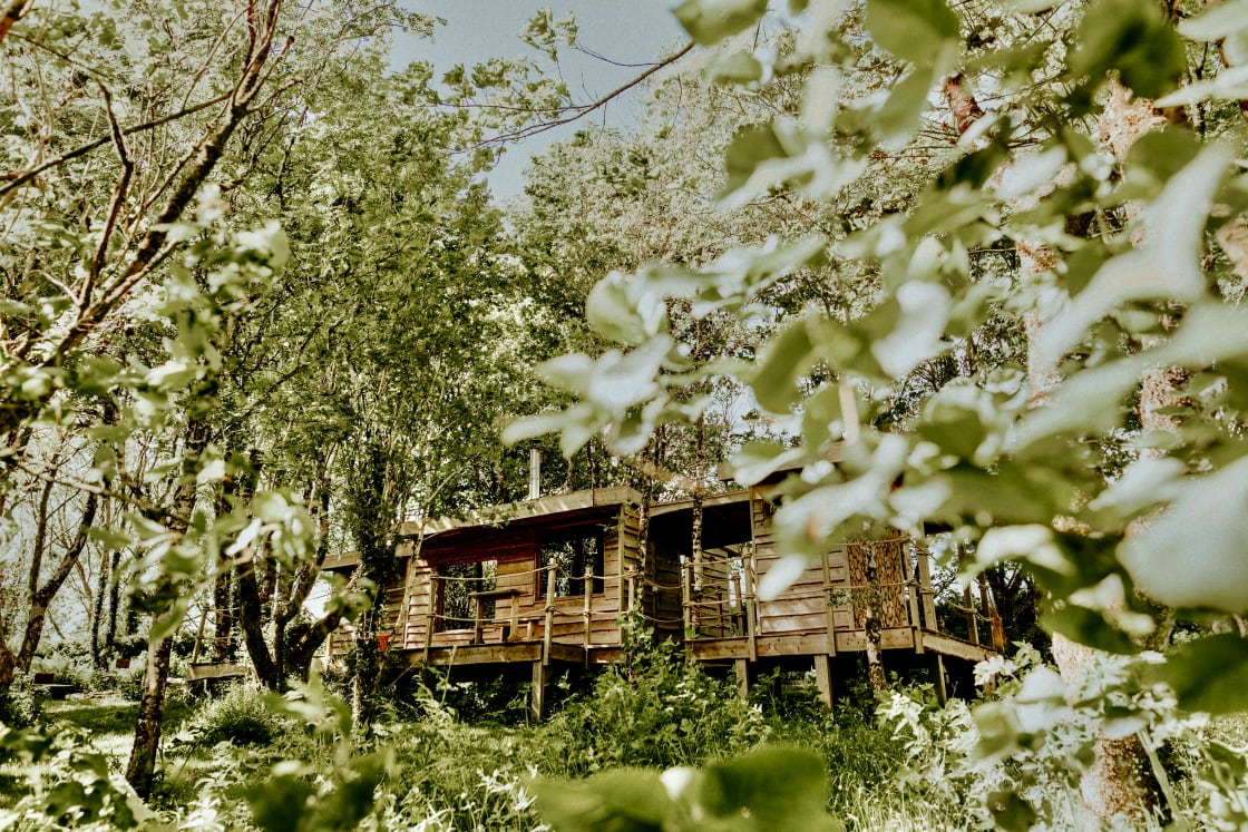 Surrounded by native British trees, lush n green and private. Log Jam is the perfect romantic cabin in the woods to be one with nature