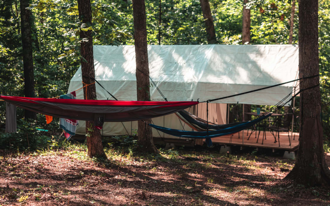Platform tent camping. TENTS and HAMMOCKs not included