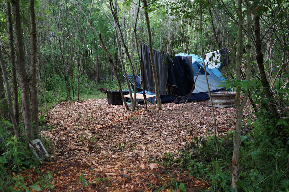 Bending Oak Permaculture Farm