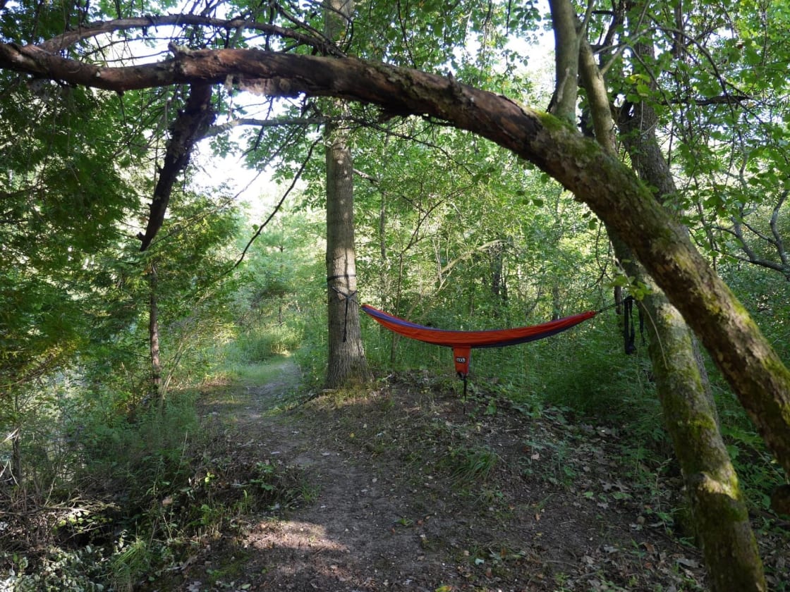 Hammock on the trail to your campsite