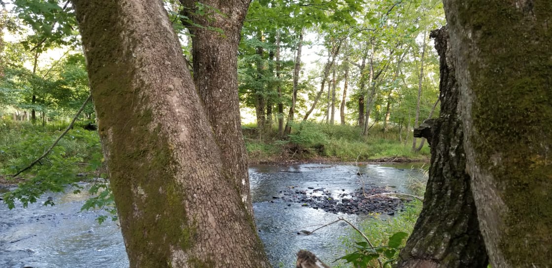 The Creek at Valdelyon Farm