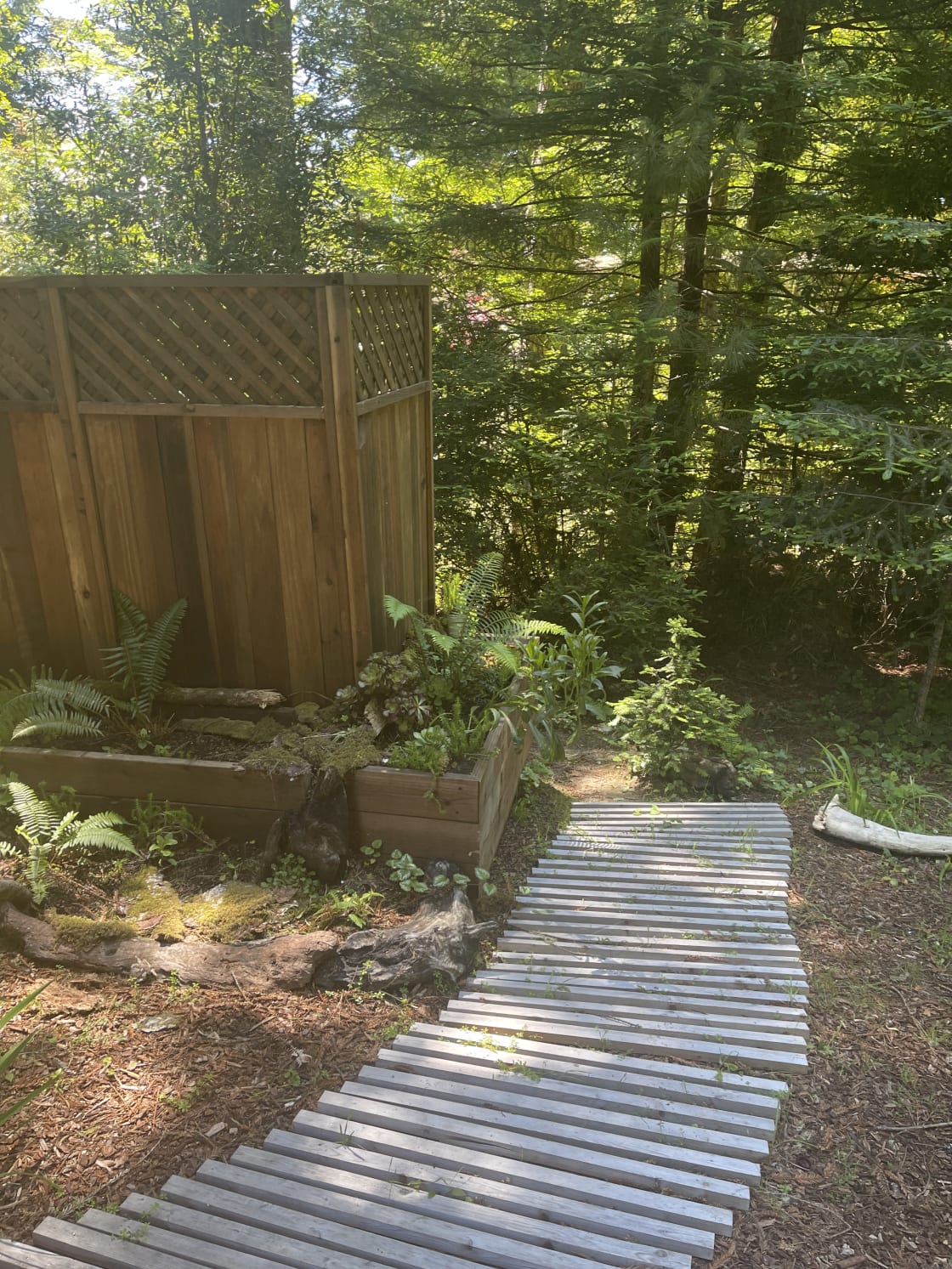 Path to your outdoor shower 