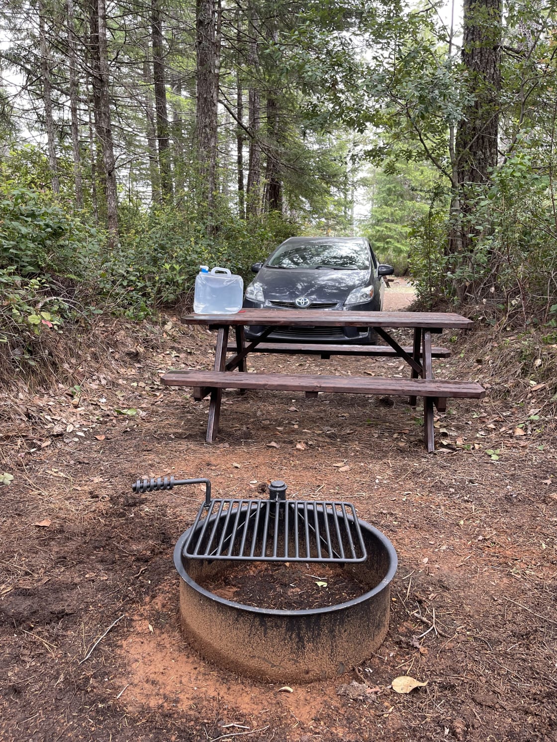 Picnic table, fire pit and water