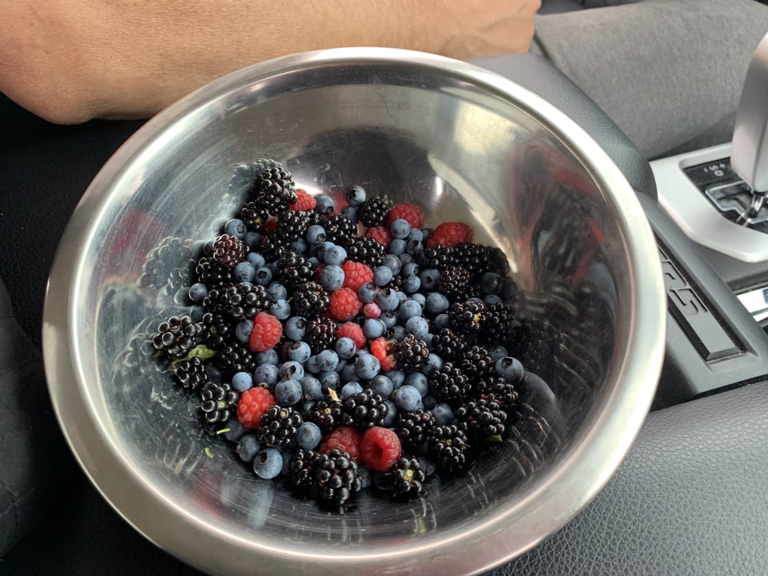 Berries picked on the property