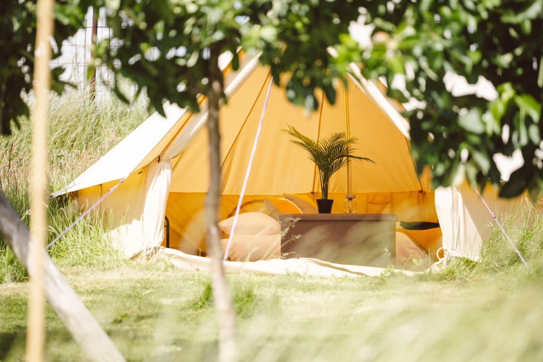 Glamping Tent's in the fruit Garden