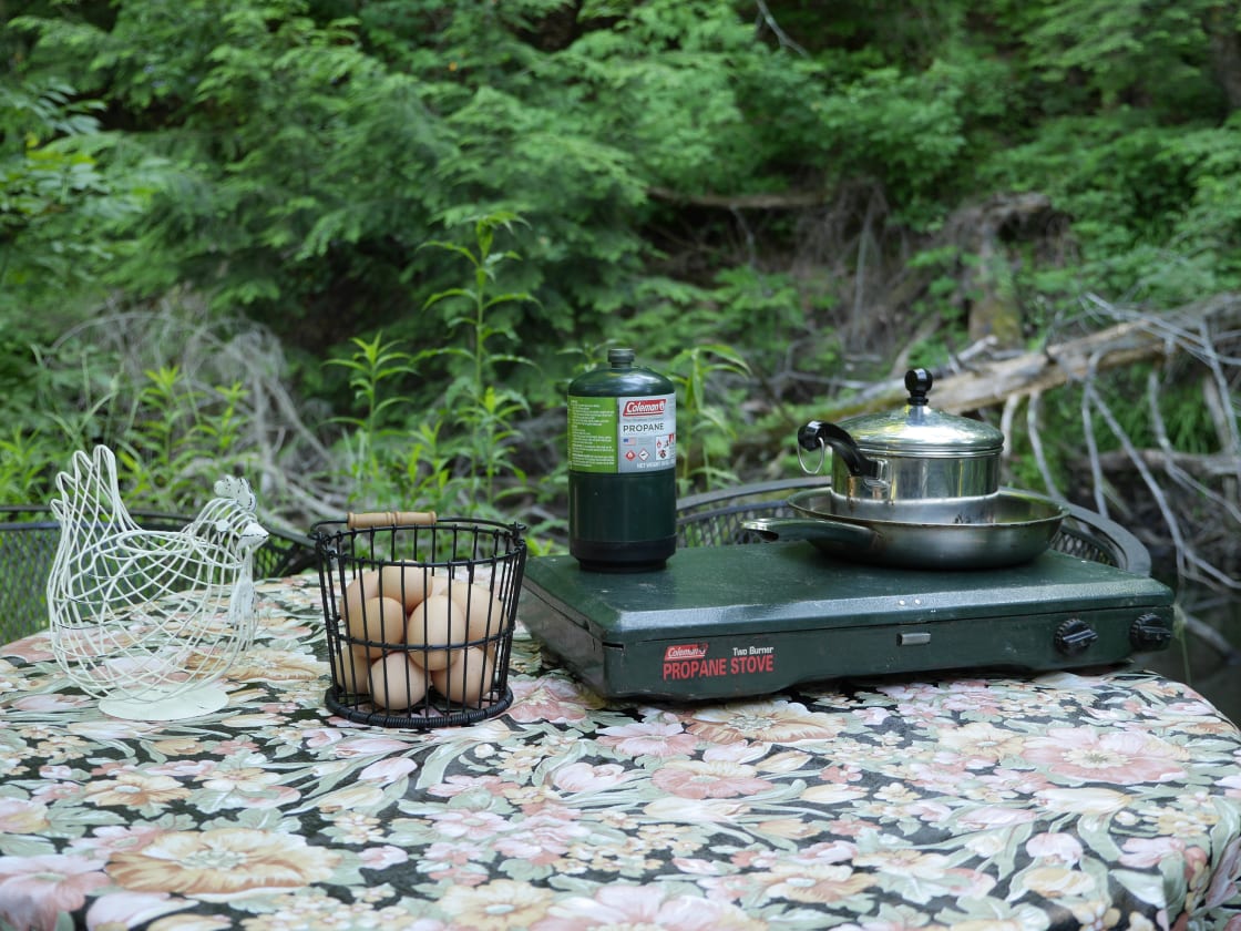 Camp stove with propane and cookware/plates/untensils provided, eggs from our free range chickens.