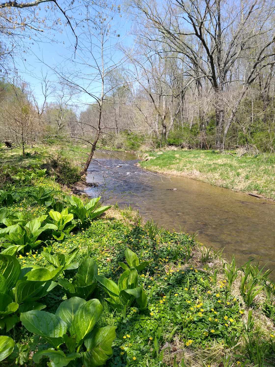 Hike down to the river. 