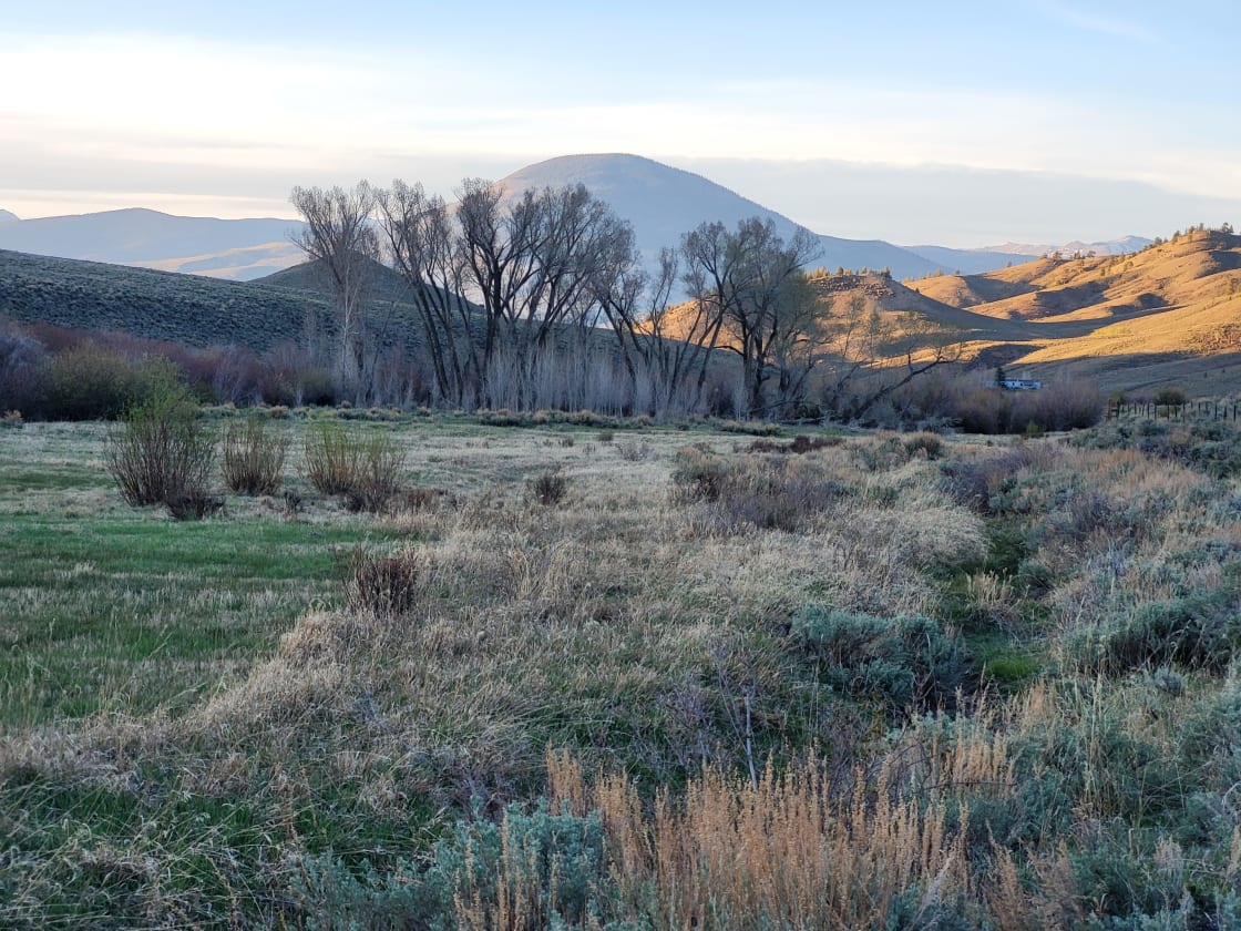 View of tomichi dome from the south pasture. Great for Mt biking, hiking or a visit to wanonta hot springs. From the south pasture there is direct access to the Colorado trail. 