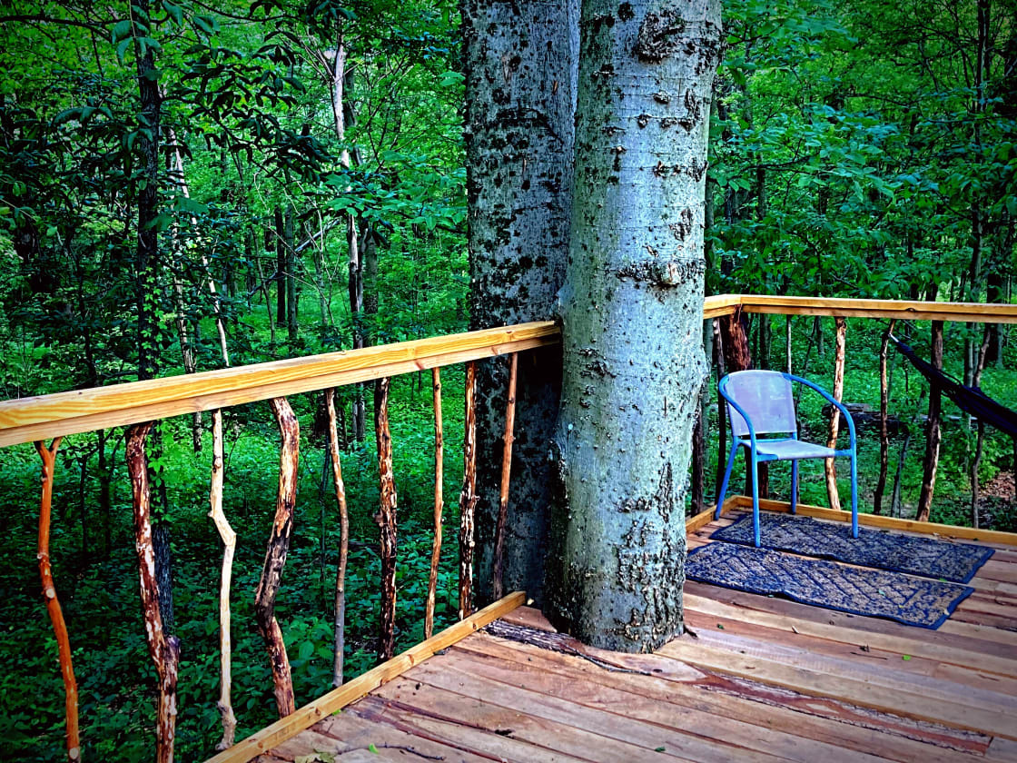 Unique railing, locally sourced from the surrounding woods.
