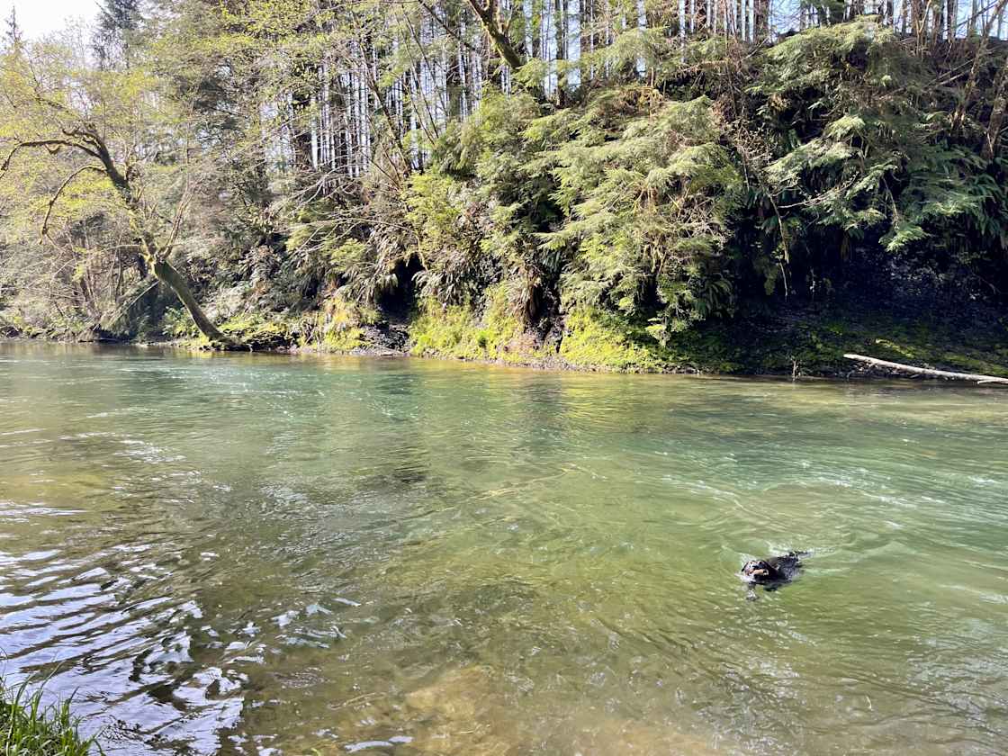 Riverberry Retreat Camp