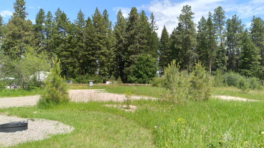 Looking north, lots of trees and other campsite is divided by shrubs