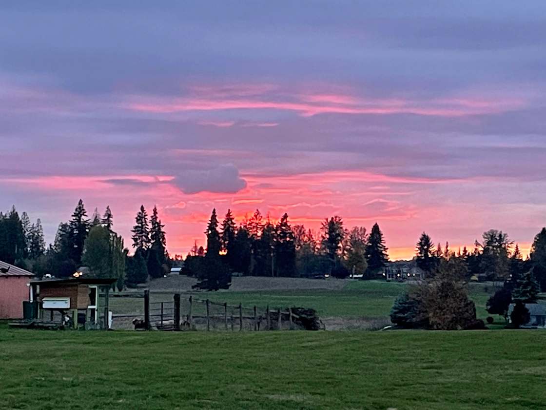 Amazing Sunsets.