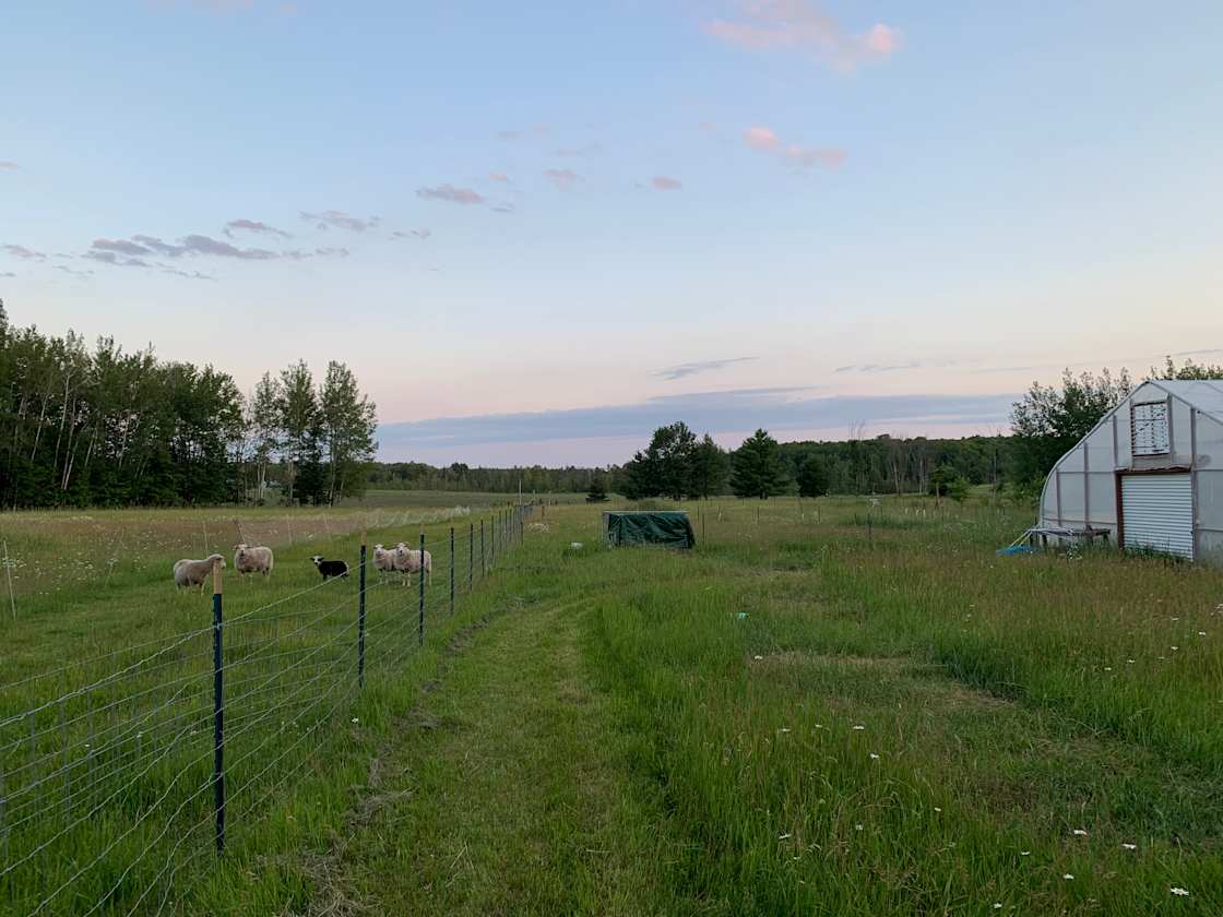 Wildlife Orchard