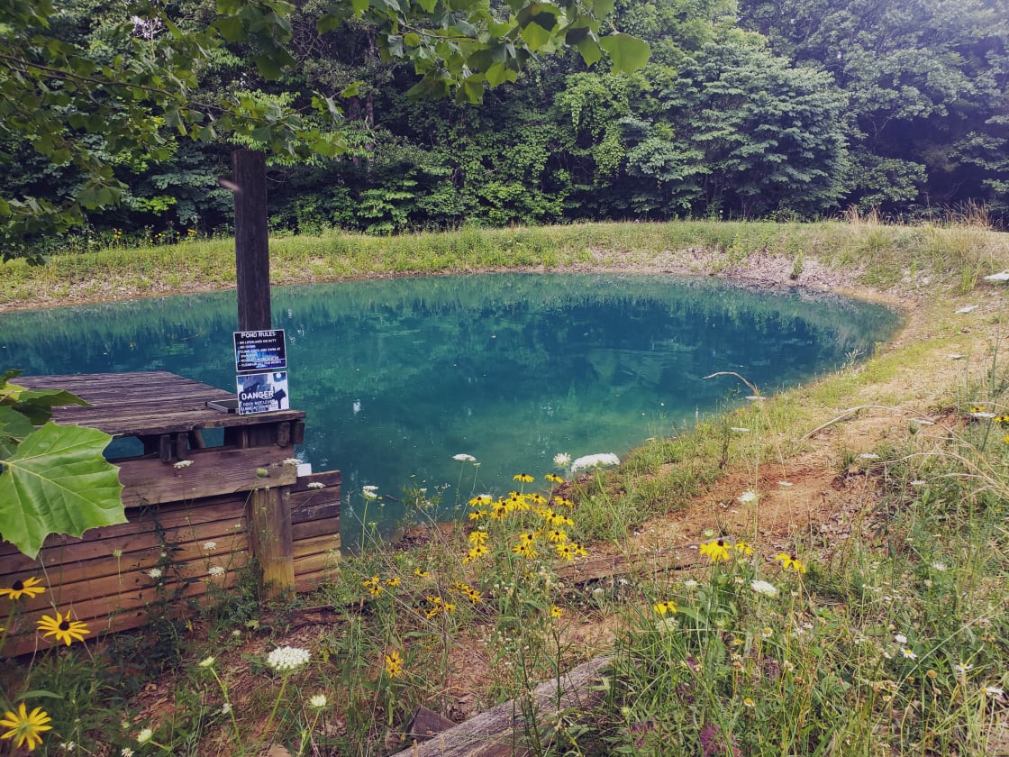 The ponds blue color comes from pond dye, which helps prevent algae and keep the water fresh and ready for swimming