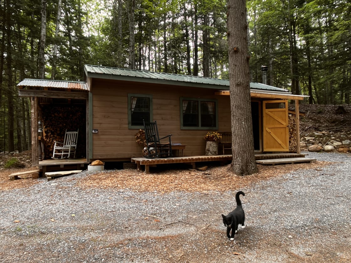 Rustic Pines Bunkhouse (welcome committee not included)