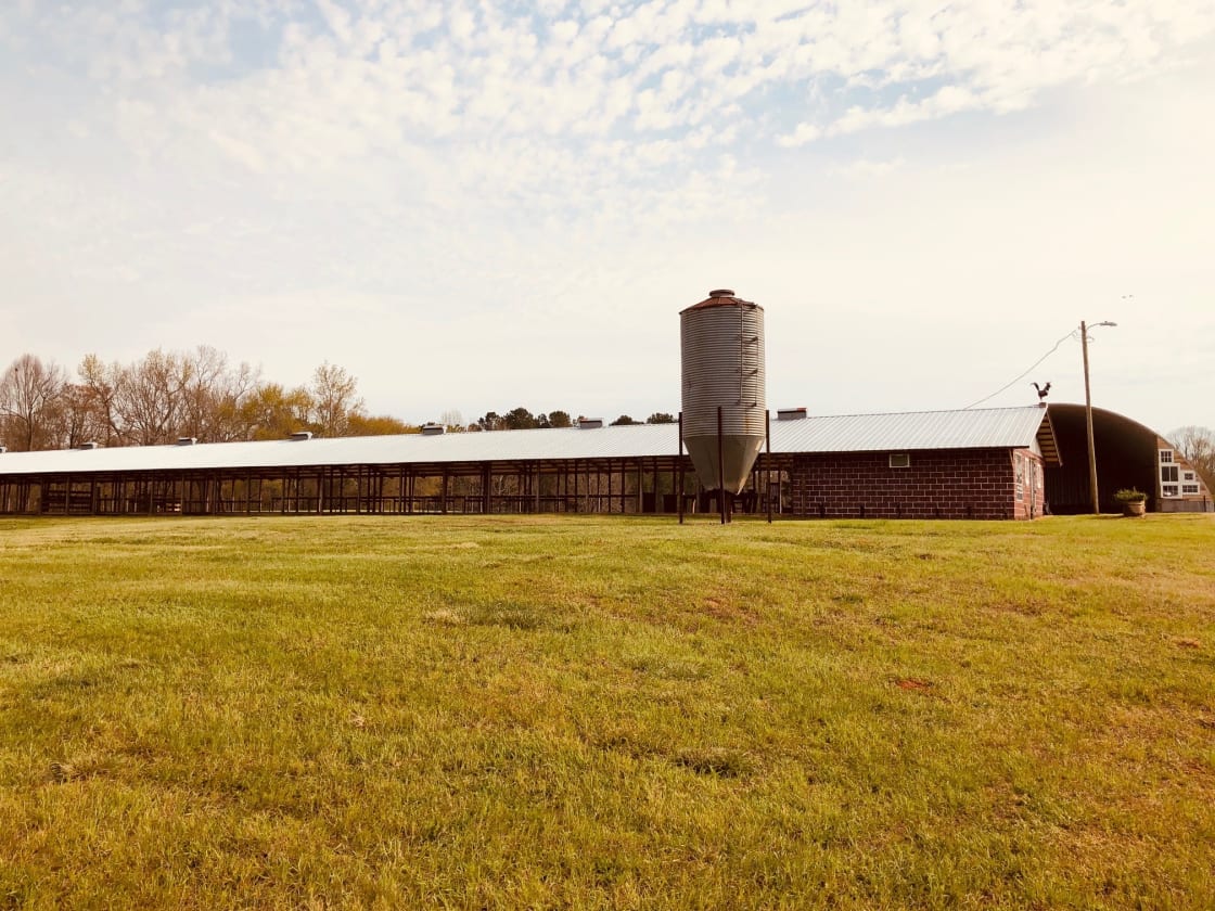 The Farm at Greene Acres includes 88 acres of rolling pastures, the Pavillion and the Q Hut.