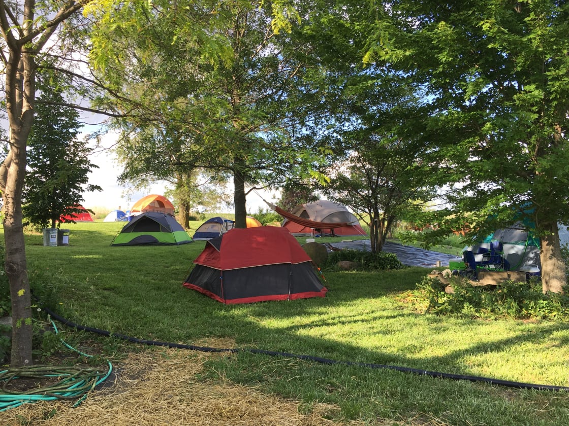 Tents in the yard. 