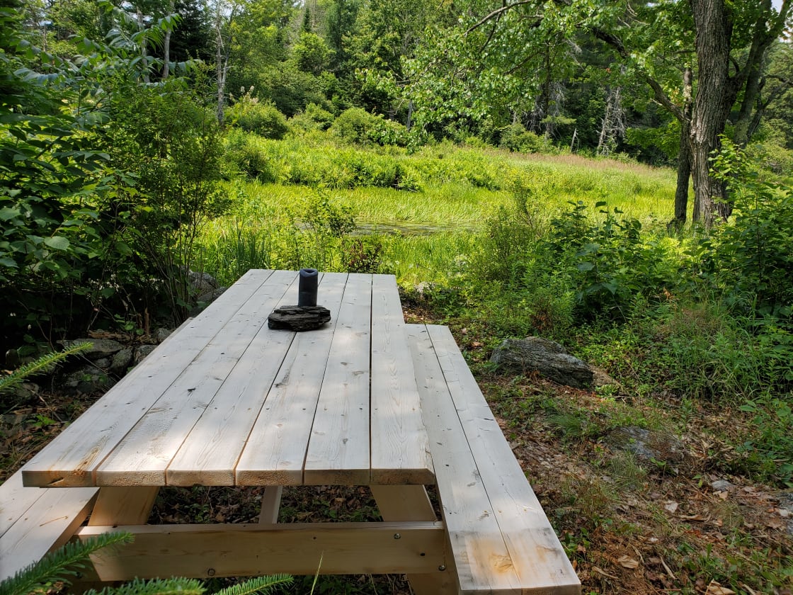 Large picnic table next to Webb Brook.
