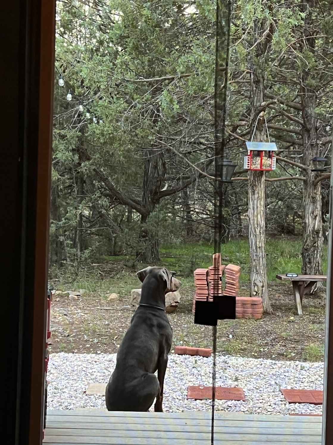 Bear Paw lake Cabin