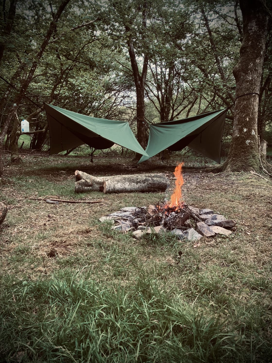 Wild Hammock Camping