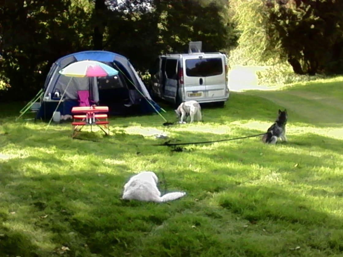 Pentwyn Dingle and Lodge Field Camp
