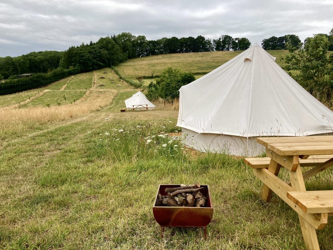 Our tents are tucked in by the hedgerow in our silvopasture field. Every pitch has a picnic table and fire pit.