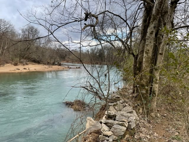 View of the Buffalo River from the northeast corner of the siter. This wall is reported to have been built by slaves prior to the Civil War.