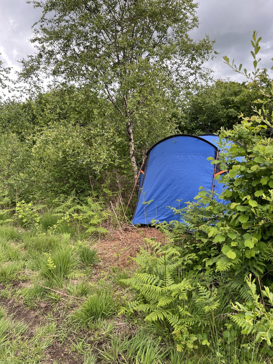 Community camping and glamping