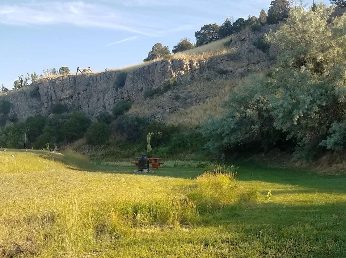 Cedar Rose Farm